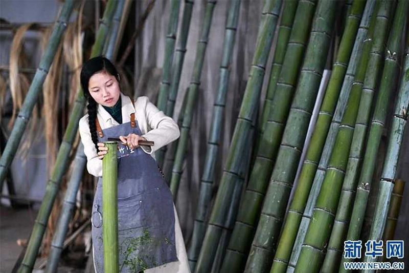 杨昌芹